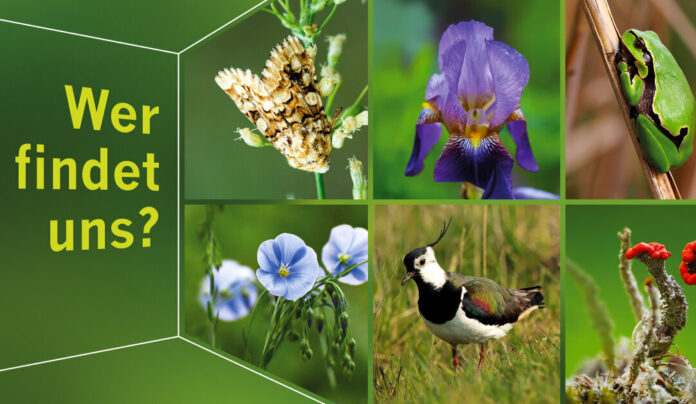 csm_Raum_für_Biodiversität_Aktion_Banner_Quelle_Umweltamt_e99c5051c0