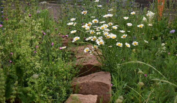 csm_umweltamt_typo3_36911b63aa