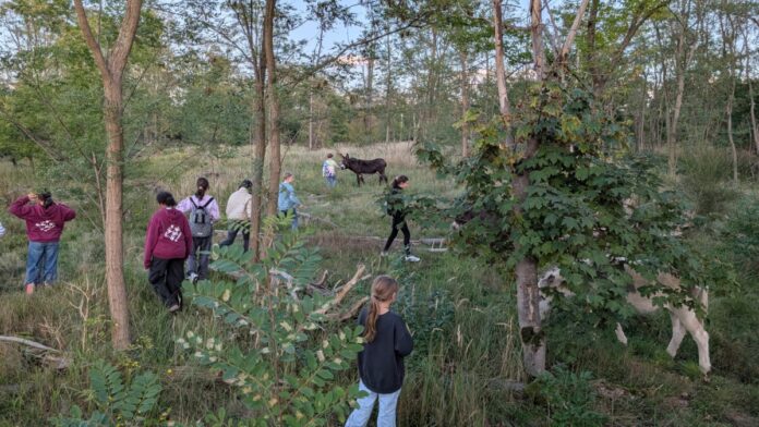 Presse Griesheim 20251006 - Eselwiesen Clean Up 2 ©Stadt Griesheim