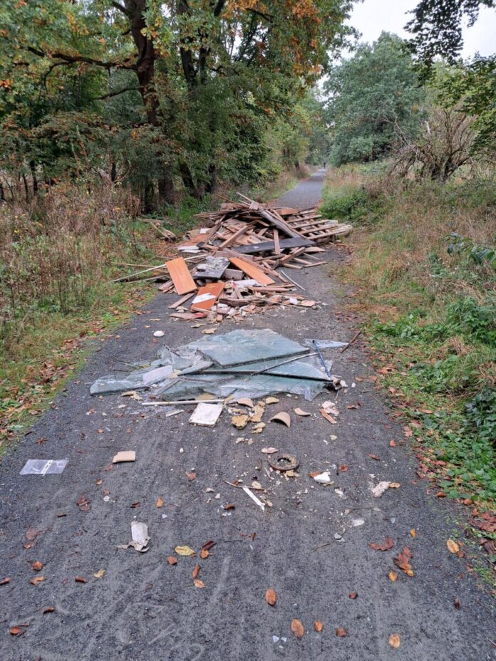 Presse Griesheim 20251022 - wilder Müll im Wald ©Stadt Griesheim