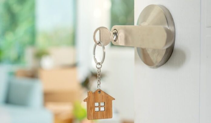 csm_shutterstock_2506043467_a7c963ff2d