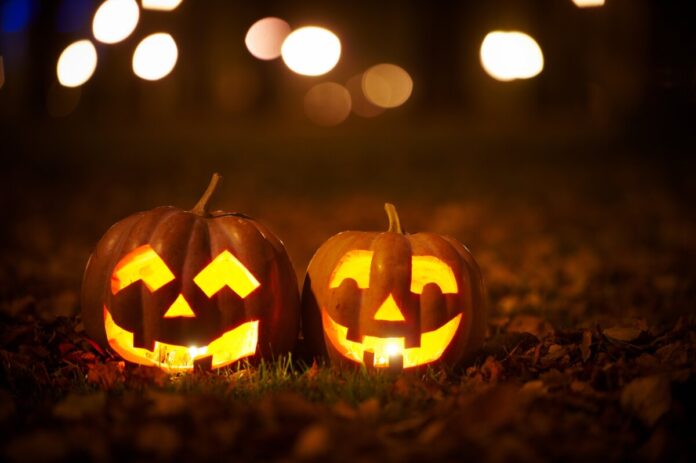 Two,Kind,Halloween,Pumpkins,In,The,Park