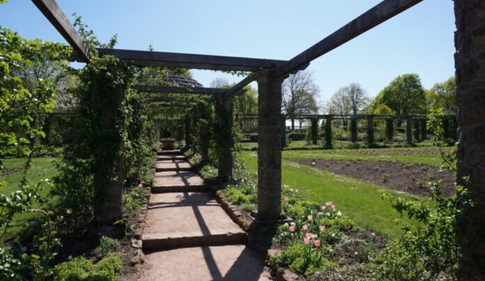 csm_Rosarium_02_Ulrich_Mathias_cb4bdf9987