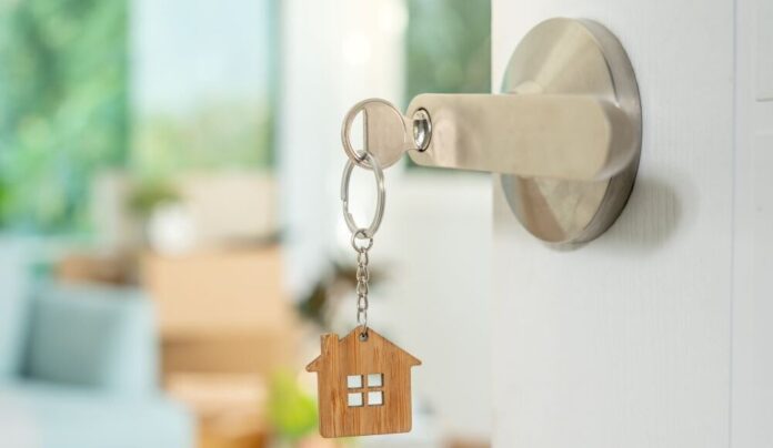 csm_shutterstock_2506043467_b8e46012ca