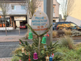 Pünktlich zum Start des Griesheimer Weihnachtsmarkts am kommenden Freitag, 5. Dezember, werden alle Tannenbäume fertig geschmückt sein. Foto: Stadt Griesheim