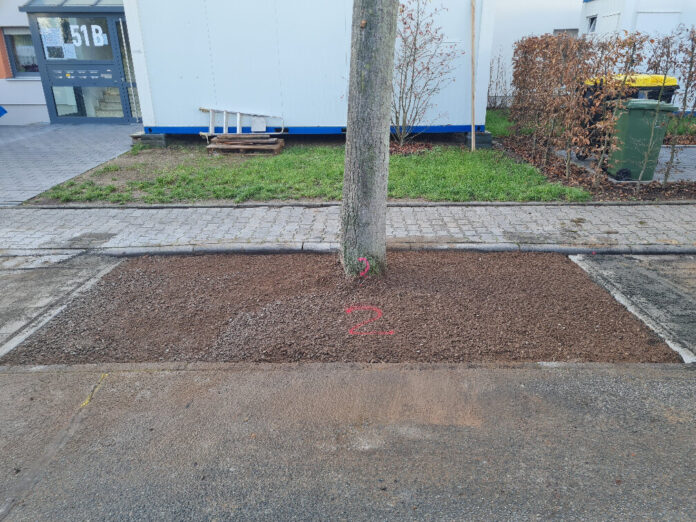 Presse Griesheim 20251208 - Baumeinfassung in der Lindenstrasse nachher©Stadt Griesheim Die Stadtbäume in Griesheim erhalten mehr Platz für ihr Wurzelwerk. Foto: Stadt Griesheim