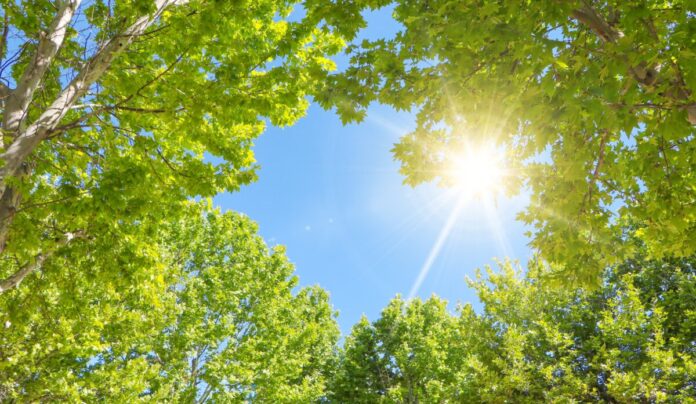 csm_shutterstock_2650397307_Gergitek_7433a52093