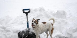 Grundstückseigentümer müssen Rutschgefahren im Winter beseitigen. Foto: Symbolbild Pixabay