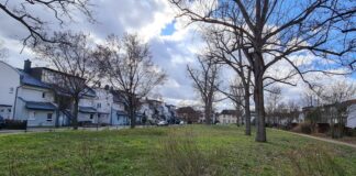 Pallaswiesen- und Mornewegviertel