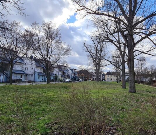 Pallaswiesen- und Mornewegviertel