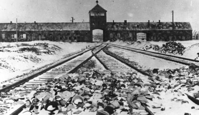 csm_auschwitz_bundesarchiv_mucha_stanislaw_1945_b107183a79