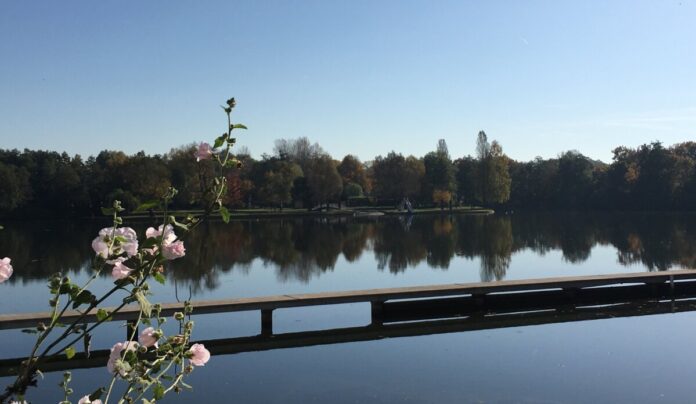 csm_Woog_IMG_2618_Quelle_Wissenschaftsstadt_Darmstadt_7d11714601