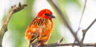 Osterferienprogramm im Zoo Vivarium