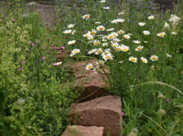 Sperrung eines Darmbachübergangs südlich des Zoos Vivarium