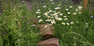 Sperrung eines Darmbachübergangs südlich des Zoos Vivarium
