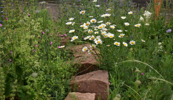 csm_umweltamt_typo3_a082c0ec2c