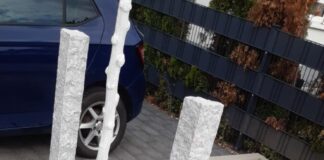 Pflanzen in Griesheim erneut beschädigt